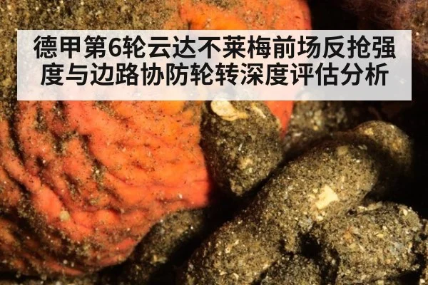 德甲第6轮云达不莱梅前场反抢强度与边路协防轮转深度评估分析